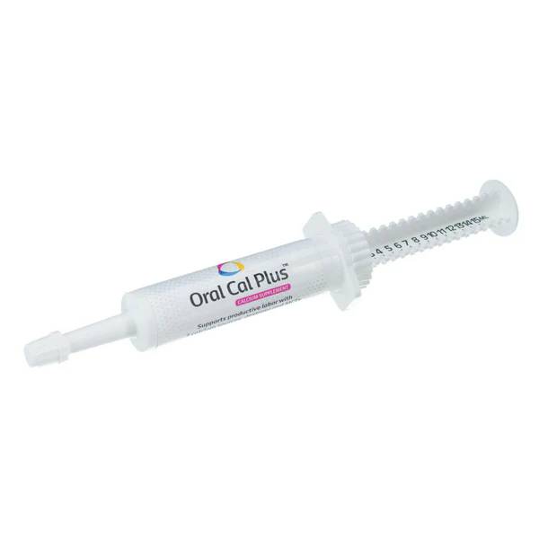 Edge Oral Cal Plus